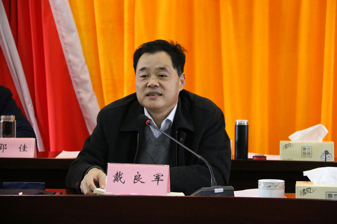 集團(tuán)黨委委員、副總經(jīng)理、總工程師戴良軍發(fā)表講話